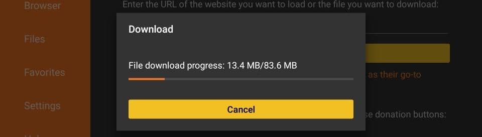 Amazon Fire TV Stick: Așteaptă descărcarea